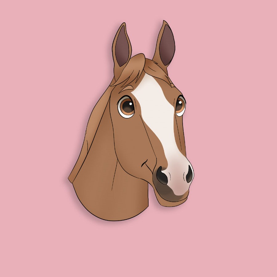 Startseite Vollblutreiter.de Trickfilm Design voher nachher vergleich2 1