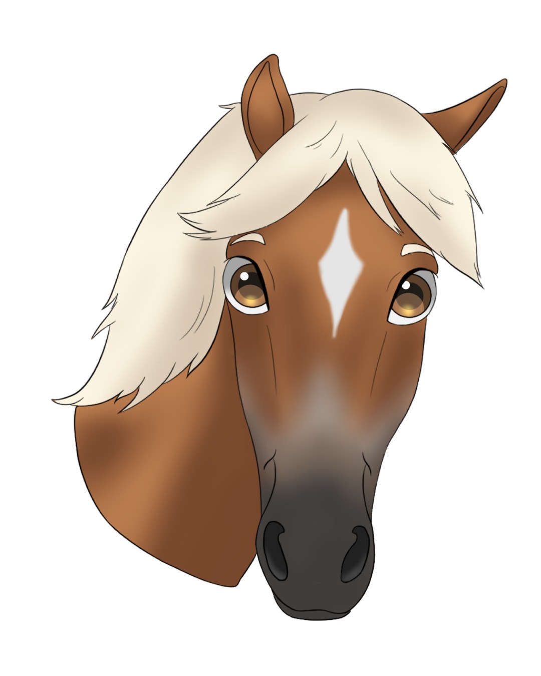 Startseite 121Unbenannt 1 1