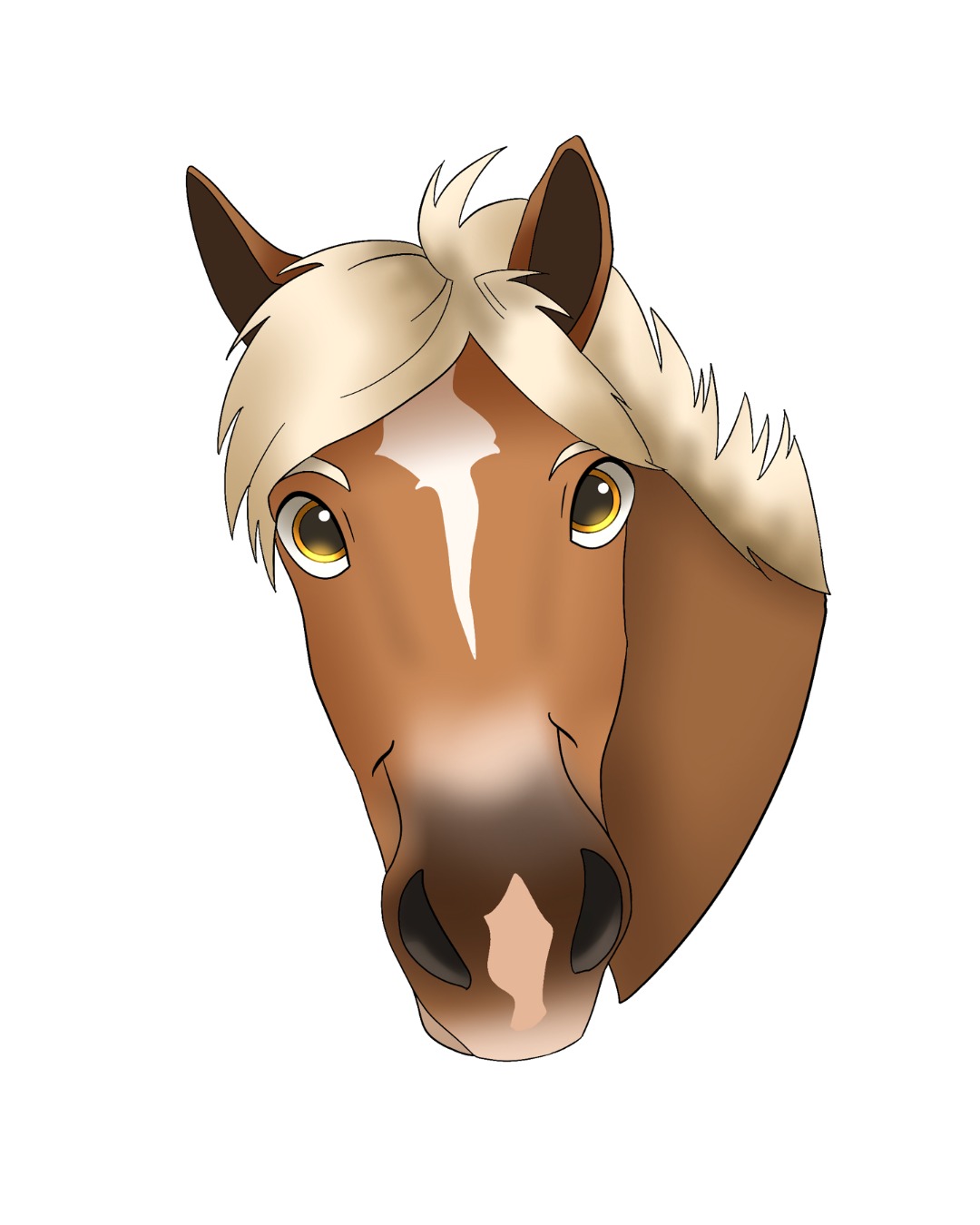 Startseite 122Unbenannt 1 1