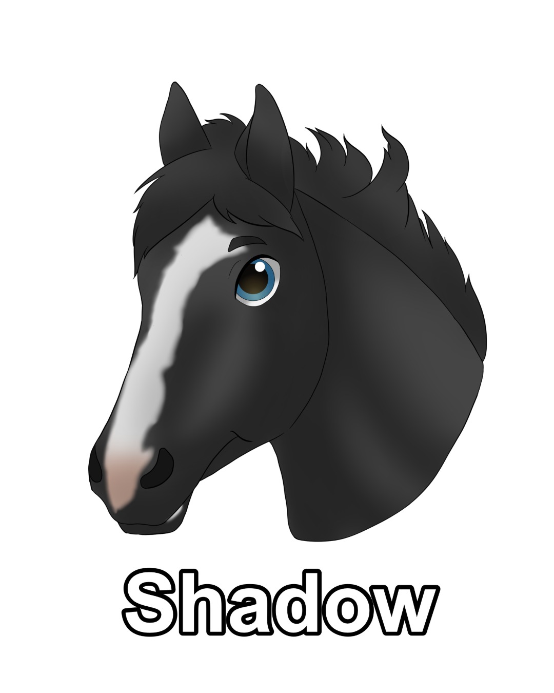 Startseite 12345Unbenannt 1 1